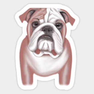 Cute Bulldog Drawing Sticker